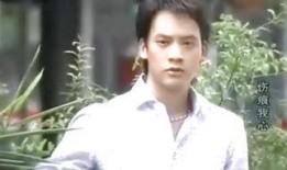 伤痕我心国语版全集在线观看,情感纠葛，命运抉择